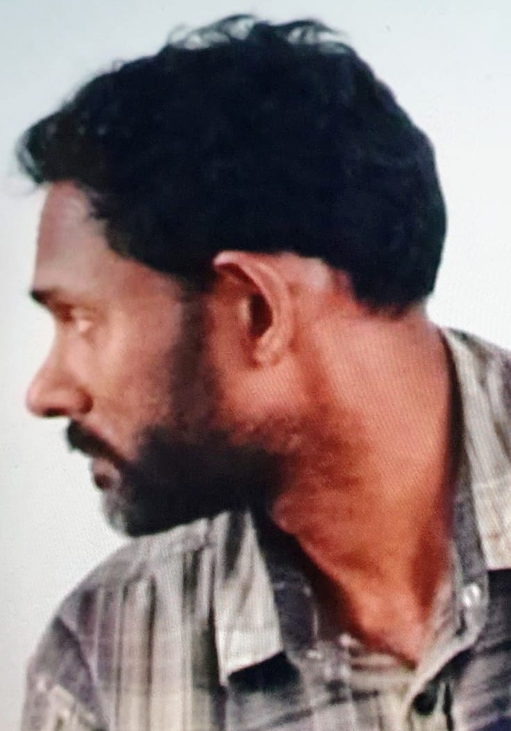 Wishwa Ihalagamage