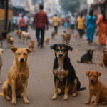 STRAY DOGS AND ANIMAL LOVERS - NOW A NATIONAL DEBATE IN INDIA - By N.S.Venkataraman