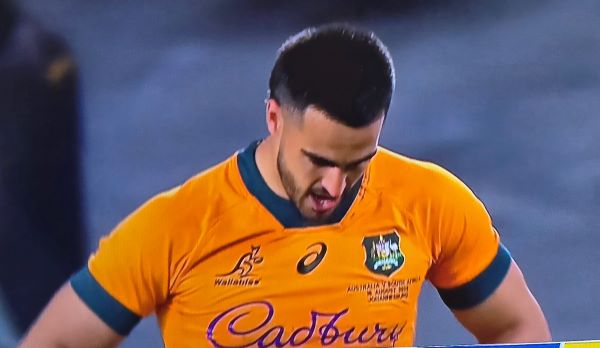 Springboks spring back to down gallant Wallabies