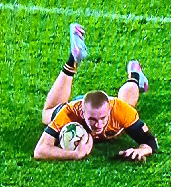 Springboks spring back to down gallant Wallabies