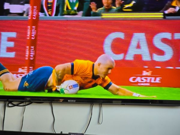 Springboks spring back to down gallant Wallabies