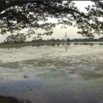 basawakkulama wewa